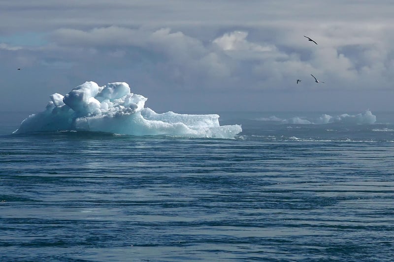 Les effets du changement climatique sur la santé humaine en 2026 : ce que vous devez savoir