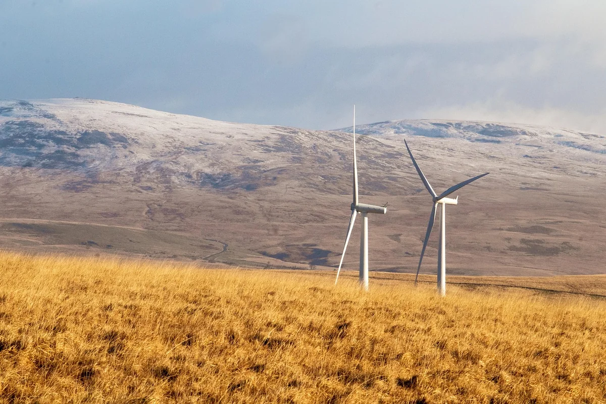 Comparatif des principaux fournisseurs d’électricité verte en 2026